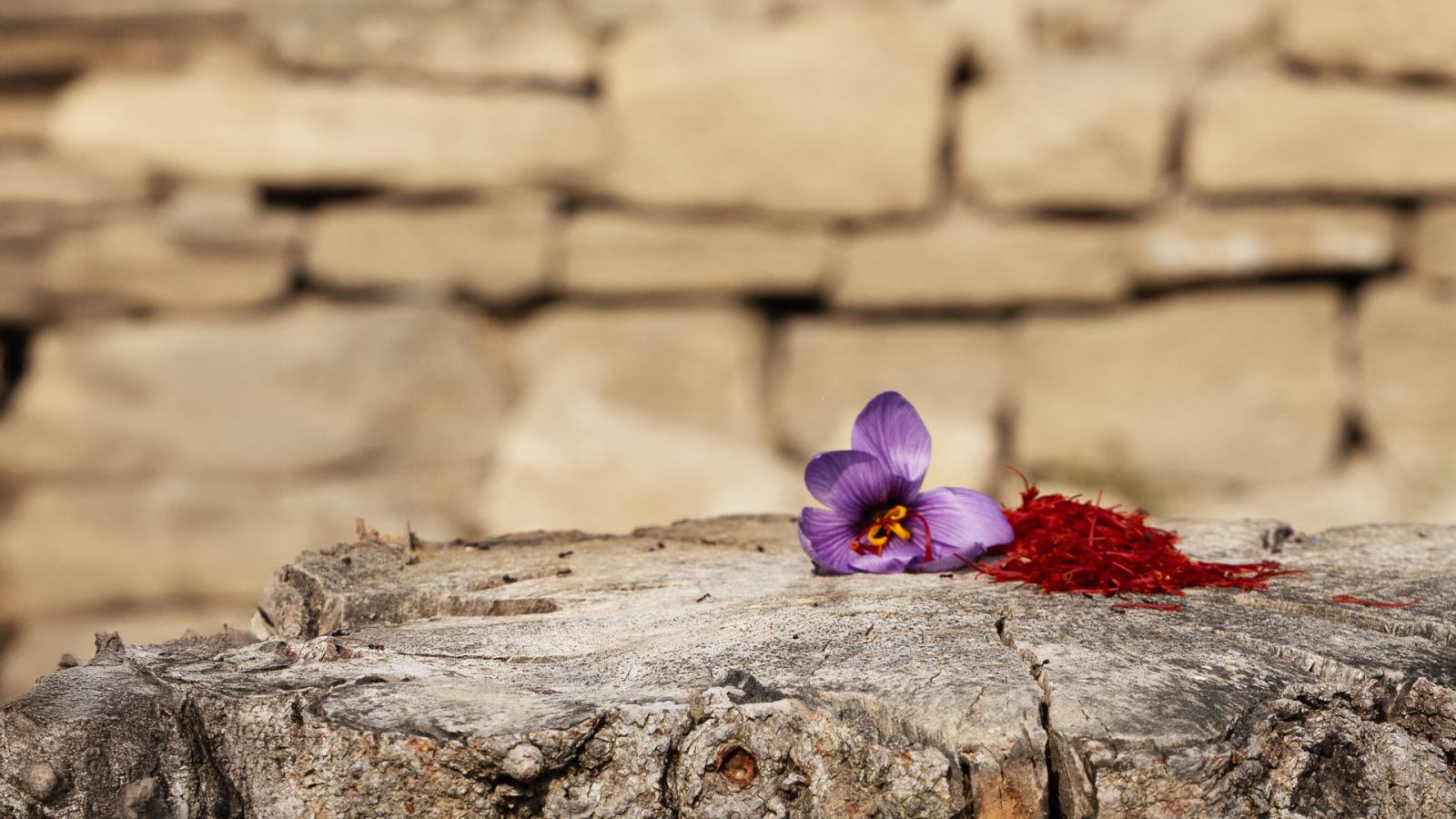 Bilgah saffron on a rustic wood surface